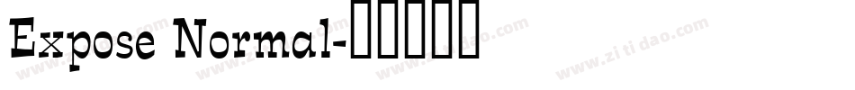 Expose Normal字体转换